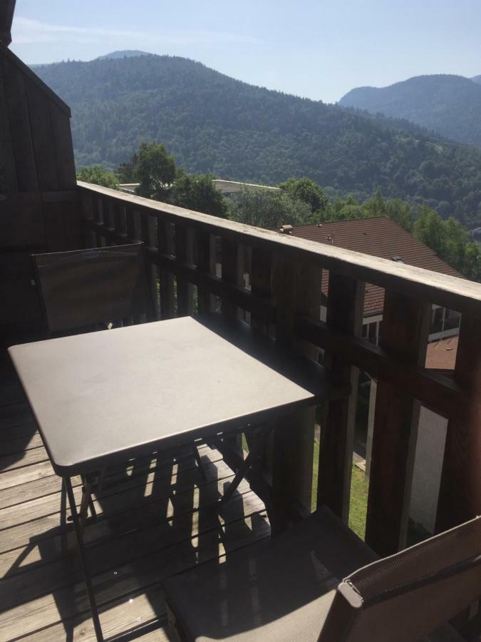 Charmant T3 Bussang, Vosges, Vue Imprenable Dış mekan fotoğraf